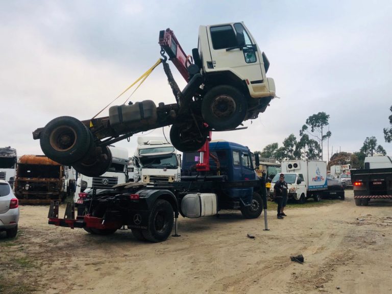Guincho no Jardim Japão