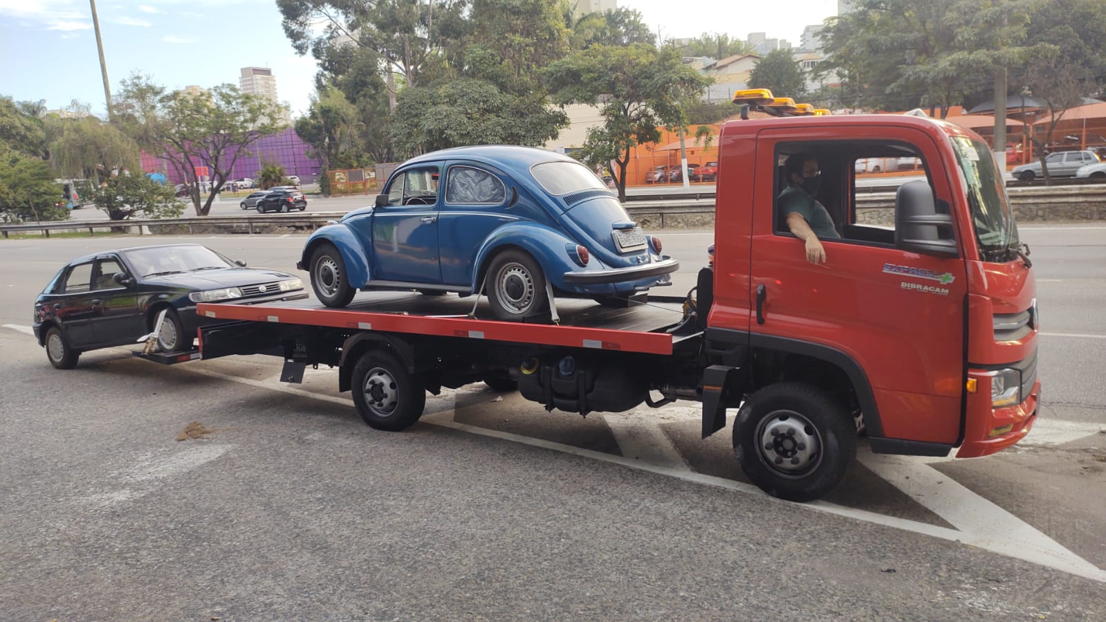 Guincho no Jardim Japão 24 Horas